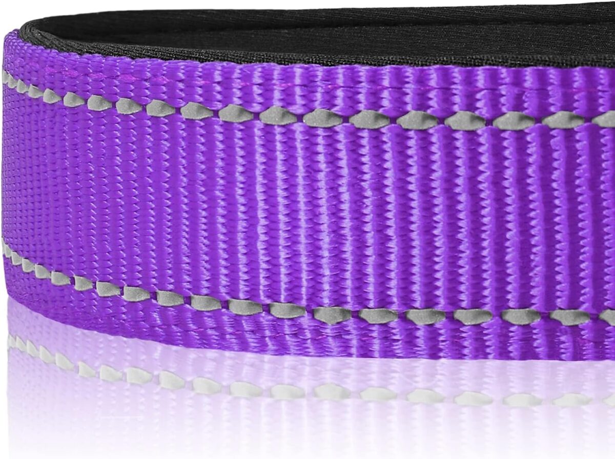 Joytale Reflective Dog Collar,Soft Neoprene Padded Breathable Nylon Pet Collar Adjustable for Large Dogs,Purple,L - Image 5