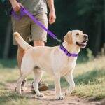 Joytale Reflective Dog Collar,Soft Neoprene Padded Breathable Nylon Pet Collar Adjustable for Large Dogs,Purple,L - Image 7