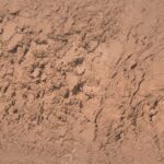 Palladio Brow Powder for Eyebrows, Soft and Natural Eyebrow Powder with Jojoba Oil & Shea Butter, Helps Enhance & Define Brows, Compact Size for Purse or Travel, Includes Applicator Brush, Taupe - Image 3