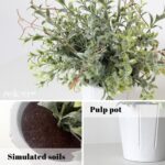 4 Pack Small Fake Plants, Artificial Plants Indoor for Home Decor, Small Faux Plants Indoor, Fake Plants in White Pot for Bathroom Bedroom Kitchen Office Farmhouse Room Shelf Decor - Image 5