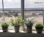 4 Pack Small Fake Plants, Artificial Plants Indoor for Home Decor, Small Faux Plants Indoor, Fake Plants in White Pot for Bathroom Bedroom Kitchen Office Farmhouse Room Shelf Decor - Image 10