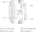 YONGNUO YN35mm F2 Lens 1:2 AF/MF Wide-Angle Fixed/Prime Auto Focus Lens for Canon EF Mount EOS Camera - Image 6