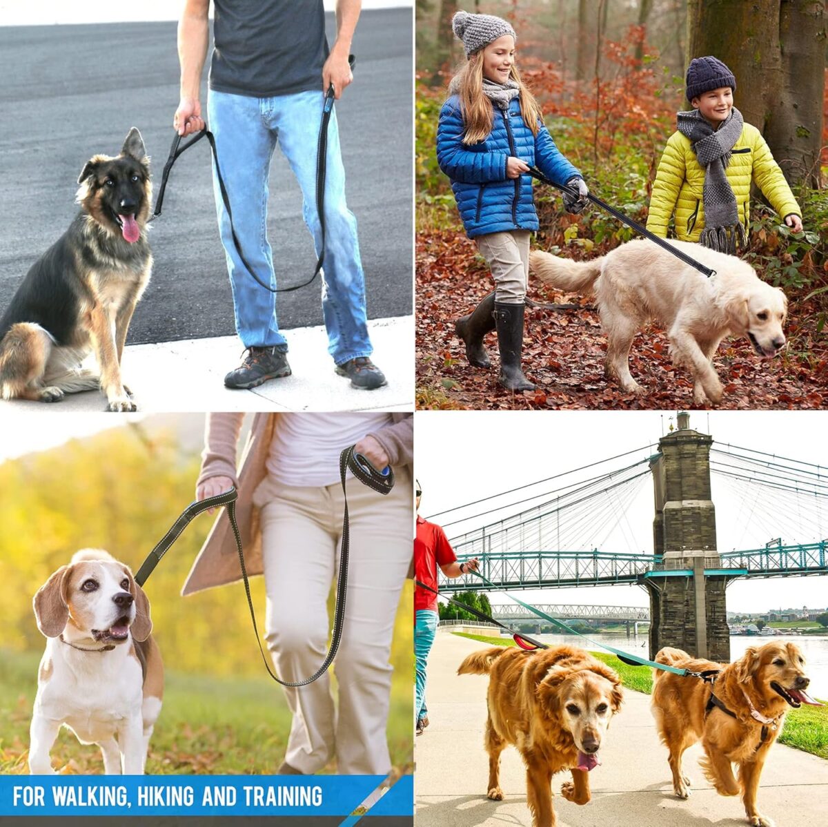 Heavy Duty Dog Leash - 2 Handles by Padded Traffic Handle for Extra Control, 6foot Long - Perfect for Medium to Large Dogs (6 ft, Black) - Image 6