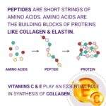 Neck and Decollete Firming Cream for Women - Neck Firming and Tightening Cream with Advanced Stem Cell, Peptides, Collagen & Hyaluronic Acid for Skin Tightening and Lifting, 3.38 fl oz - Image 9