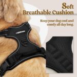 rabbitgoo Dog Harness No Pull with 2 Leash Clips, Adjustable Soft Padded, Reflective Oxford No Choke Pet Vest with Easy Control Handle for Large Dogs, Black, L - Image 3