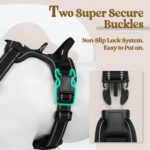 rabbitgoo Dog Harness No Pull with 2 Leash Clips, Adjustable Soft Padded, Reflective Oxford No Choke Pet Vest with Easy Control Handle for Large Dogs, Black, L - Image 4