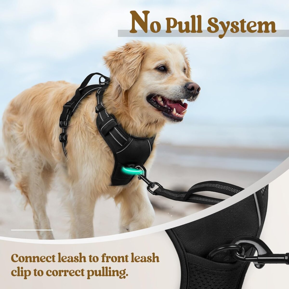 rabbitgoo Dog Harness No Pull with 2 Leash Clips, Adjustable Soft Padded, Reflective Oxford No Choke Pet Vest with Easy Control Handle for Large Dogs, Black, L - Image 6