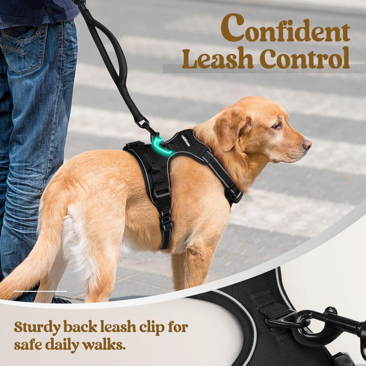 rabbitgoo Dog Harness No Pull with 2 Leash Clips, Adjustable Soft Padded, Reflective Oxford No Choke Pet Vest with Easy Control Handle for Large Dogs, Black, L - Image 7