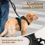rabbitgoo Dog Harness No Pull with 2 Leash Clips, Adjustable Soft Padded, Reflective Oxford No Choke Pet Vest with Easy Control Handle for Large Dogs, Black, L - Image 7