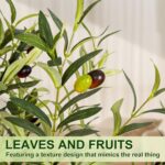 Olive Trees Artificial Indoor, 5FT Tall Faux Olive Tree with White Tall Planter, Artificial Plants with Natural Wood Trunk and Lifelike Fruits for Home Office Decor - Image 7