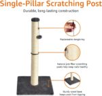 Amazon Basics Cat Scratcher - Indoor Classic Single Cat & Kittens Scratching Post, Medium (31.5"H) - Grey - Image 3