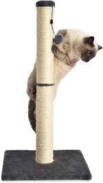 Amazon Basics Cat Scratcher - Indoor Classic Single Cat & Kittens Scratching Post, Medium (31.5"H) - Grey - Image 5