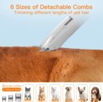 AIRROBO Dog Grooming Vacuum Kit,12000Pa Strong Pet Vacuum for Shedding,Grooming Hai,Quiet,PG100,2L Large Capacity - Image 7