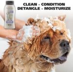 Wahl USA 4-in-1 Calming Dog Shampoo with Lavender Chamomile Scent – Cleans, Conditions, Detangles, & Moisturizes - Pet Friendly Formula - 24 Oz - Model 820000A - Image 3