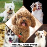 Wahl USA 4-in-1 Calming Dog Shampoo with Lavender Chamomile Scent – Cleans, Conditions, Detangles, & Moisturizes - Pet Friendly Formula - 24 Oz - Model 820000A - Image 9
