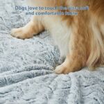 WNPETHOME Giant Dog Bed, Washable Dog Couch with Removable Waterproof Cover, Orthopedic Large Pet Sofa Bed with Bolster Sides for Sleeping - Image 8