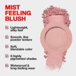 Single Soft Rose Pink Matte Powder Blush Palette Face Makeup, Blush for Looks Younger Cheeks, Monochrome Cream Blushes Lightweight Long Lasting, Blush for Women All Skin Tones Paleta de, 01 - Image 5