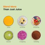 CRANDDI Professional Smoothie Blender, 80oz BPA-Free Countertop Blenders for Smoothies, Shakes & Ice Crushing, 1500W Compact Commercial Kitchen Blender with Stainless Steel Blade, 120V, K96 - Image 8