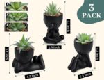 Der Rose 3pcs Fake Succulents Plants Artificial for Black Bathroom Bedroom Home Living Room Halloween Decor Aesthetic Indoor - Image 4