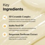 Torriden SOLID In Ceramide Lip Essence 0.37 fl.oz * 2 (Pack of 2) | Moisturizing Lip Essence for Glowy, Plumped, and Radiant Lip | Korean Lip Balm - Image 5