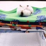 Finihen Boys Soft Cotton Underwear For Toddler Boy Truck Dinosaur Multipacks Briefs Children Undies - Image 6