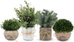 4 Pack Small Fake Plants, Artificial Plants Indoor for Home Decor, Small Faux Plants Indoor, Fake Plants in White Pot for Bathroom Bedroom Kitchen Office Farmhouse Room Shelf Decor - Image 2