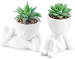 Der Rose 2 Pack Fake Plants Succulents Plants Artificial for Living Room Home Bathroom Office Decor - Image 2