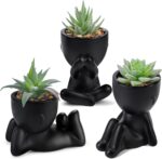 Der Rose 3pcs Fake Succulents Plants Artificial for Black Bathroom Bedroom Home Living Room Halloween Decor Aesthetic Indoor - Image 2