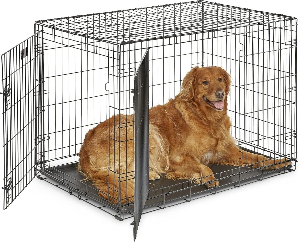 MidWest Homes for Pets 42-Inch Two-Door iCrate Folding Dog Crate with Divider Panel, Leak-Proof Tray & Secure Latches – Metal Wire Kennel for Large Breeds – Portable, Durable & Easy to Assemble - Image 2