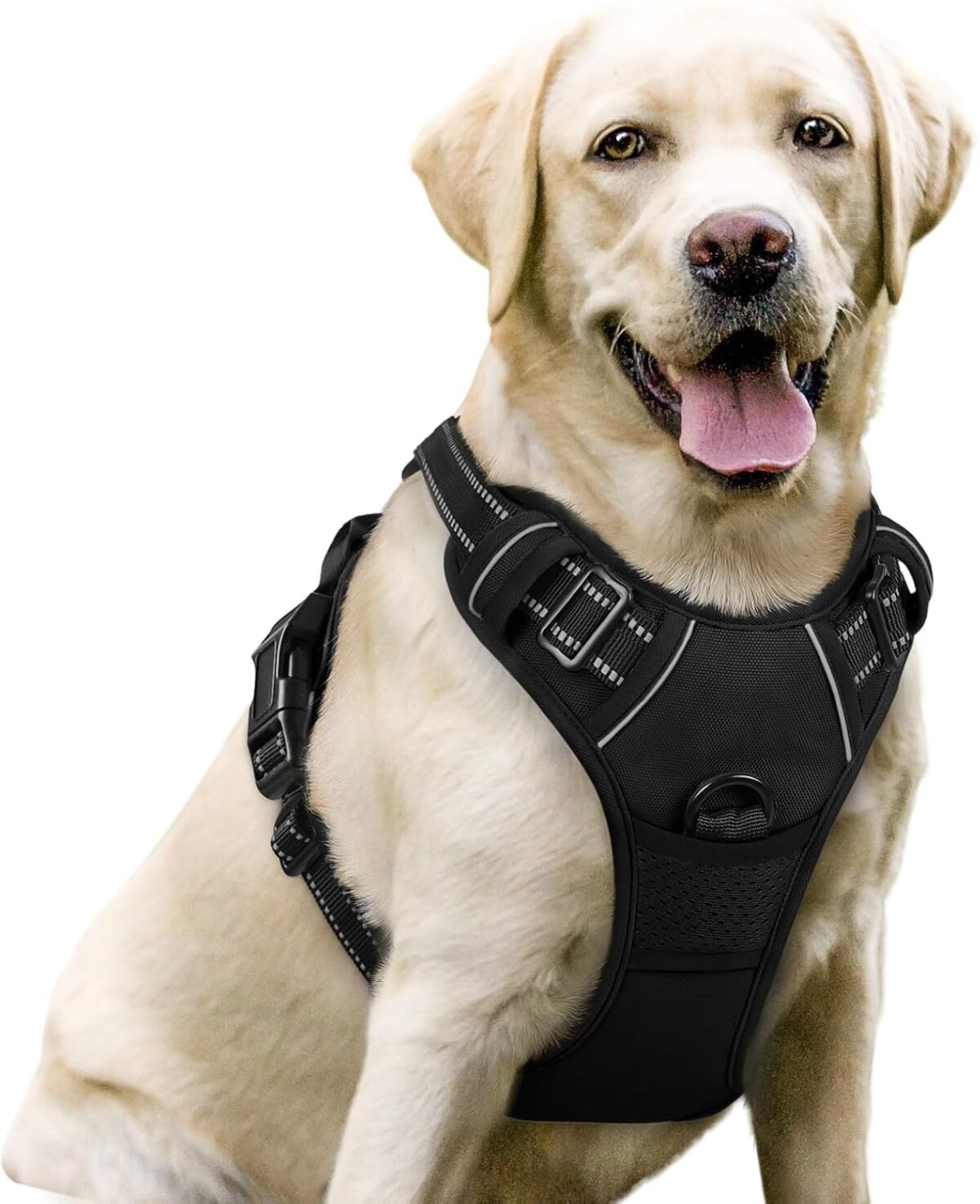 rabbitgoo Dog Harness No Pull with 2 Leash Clips, Adjustable Soft Padded, Reflective Oxford No Choke Pet Vest with Easy Control Handle for Large Dogs, Black, L - Image 2