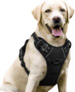 rabbitgoo Dog Harness No Pull with 2 Leash Clips, Adjustable Soft Padded, Reflective Oxford No Choke Pet Vest with Easy Control Handle for Large Dogs, Black, L - Image 2