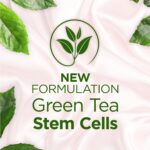 TEATRICAL Anti Wrinkle Face Cream, Face Moisturizer Infused with Green Tea Stem Cells, Helps Reduce Fine Line & Wrinkles, Face Cream for Women, Floral Scent, 7 oz - Image 6