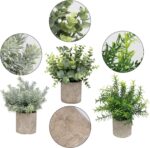 Flojery Mini Potted Plants Artificial Eucalyptus Boxwood Rosemary Faux Herbs Small House Plants 8.3"-9" Tall for Indoor Greenery Tabletop Décor Centerpiece (Sprayed Eucalyptus) - Image 4