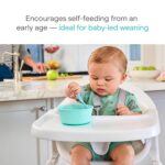 Munchkin® Gentle Dip™ Baby Spoons for Self Feeding and Baby Led Weaning, 3 Pack, Blue/Green - Image 3