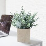 2 Pack Fake Plants Eucalyptus Small Potted Artificial Plants Indoor Greenery for Shelf Desk Home Bathroom Farmhouse Living Room Coffee Table Decor - Image 5