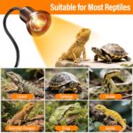 Reptile Heat Lamp, Heat Lamp with Clamp, UVA UVB Reptile Light with Intelligent Cycle Timer for Turtle, Bearded Dragon, Lizard and More, 2 Bulbs 50W+75W - Image 8