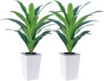 2 Pack Artificial Dracaena Tree with White Tall Planter 4FT-Tall Potted Faux Plants Indoor -Fake Floor Plant for Home Office Living Room Outdoor - Image 3