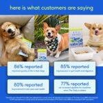 Native Pet Dog Vitamins & Supplements - 11-in-1 Vitamin Powder for Dog Food Topper - Collagen, Glucosamine, Probiotics, Omega & More- Supports Healthy Gut, Mobility & Overall Health - 60 Scoops - Image 10