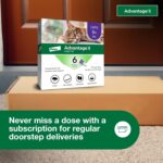 Advantage II Large Cat Vet-Recommended Flea Treatment & Prevention | Cats Over 9 lbs. | 6-Month Supply - Image 8