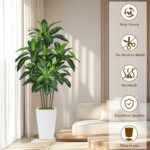 6FT Artificial Dracaena Tree, Fake Tree Indoor with White Tall Planter,Tall Artificial Plants Indoor,Artificial Silk Tree for Home Office Decor,Housewarming Gift (White) - Image 3
