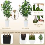 6FT Artificial Dracaena Tree, Fake Tree Indoor with White Tall Planter,Tall Artificial Plants Indoor,Artificial Silk Tree for Home Office Decor,Housewarming Gift (White) - Image 5