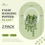 Der Rose 2 Packs Fake Hanging Plants Succulents with Strings Artificial Plants Indoor Outdoor for Boho Wall Decor - Image 4