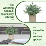 2 Pack Small Fake Plants, Artificial Eucalyptus with Gray Paper Pulp Pots, Small Potted Faux Greenery for Home Decor Indoor, Bathroom, Shelf, Office, Desk, Farmhouse Room Decoration - Image 4