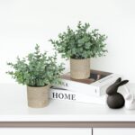 2 Pack Small Fake Plants, Artificial Eucalyptus with Gray Paper Pulp Pots, Small Potted Faux Greenery for Home Decor Indoor, Bathroom, Shelf, Office, Desk, Farmhouse Room Decoration - Image 5