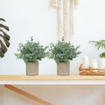 2 Pack Small Fake Plants, Artificial Eucalyptus with Gray Paper Pulp Pots, Small Potted Faux Greenery for Home Decor Indoor, Bathroom, Shelf, Office, Desk, Farmhouse Room Decoration - Image 6