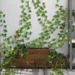 CQURE 24 Pack 168Ft Artificial Ivy Fake Vines,Ivy Garland Greenery Garland Fake Hanging Plants Vines Aesthetic Green Leaves for Bedroom Wedding Party Garden Wall Room Decor - Image 6