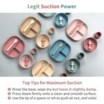 SAMiGO Silicone Baby Feeding Set, Baby Led Weaning Supplies, Suction Bowl Plate Bib Cup Self Feeding Spoons, Solid Food Eating Essentials, First Stage Utensils, 6+ Months - Image 4