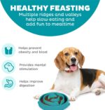 Outward Hound Medium Slow Feeder Bowl, Puzzle Maze for Fast Eaters, Small to Medium Dogs, Helps Prevent Bloat & Aid Digestion, Holds 2 Cups Wet or Dry Food, Non-Slip, Made Without BPA, Turquoise - Image 3