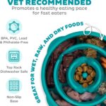 Outward Hound Medium Slow Feeder Bowl, Puzzle Maze for Fast Eaters, Small to Medium Dogs, Helps Prevent Bloat & Aid Digestion, Holds 2 Cups Wet or Dry Food, Non-Slip, Made Without BPA, Turquoise - Image 4