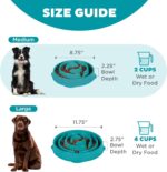 Outward Hound Medium Slow Feeder Bowl, Puzzle Maze for Fast Eaters, Small to Medium Dogs, Helps Prevent Bloat & Aid Digestion, Holds 2 Cups Wet or Dry Food, Non-Slip, Made Without BPA, Turquoise - Image 6